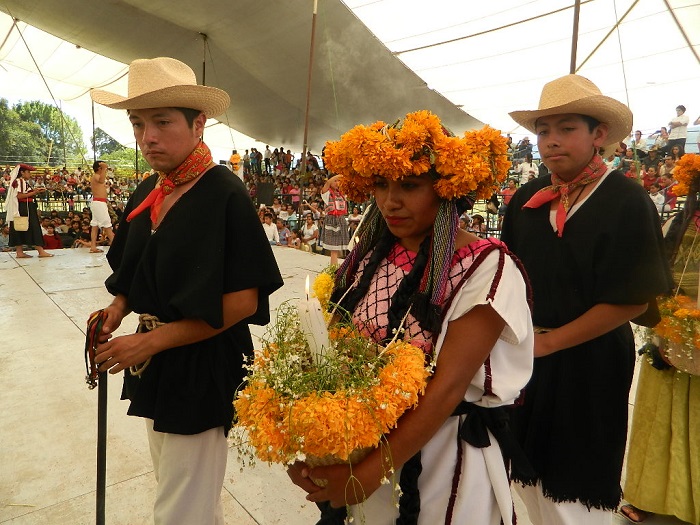 Reducen a dos días duración del Festival del Maíz