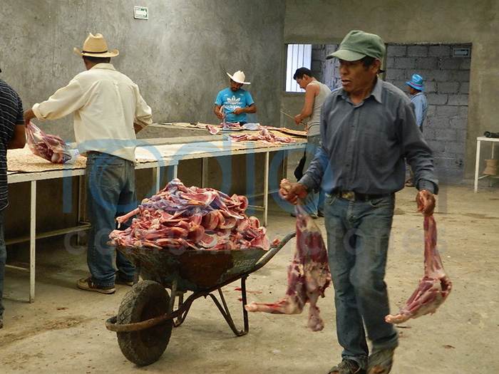 Rastros clandestinos bajan producción de ganado de matanza