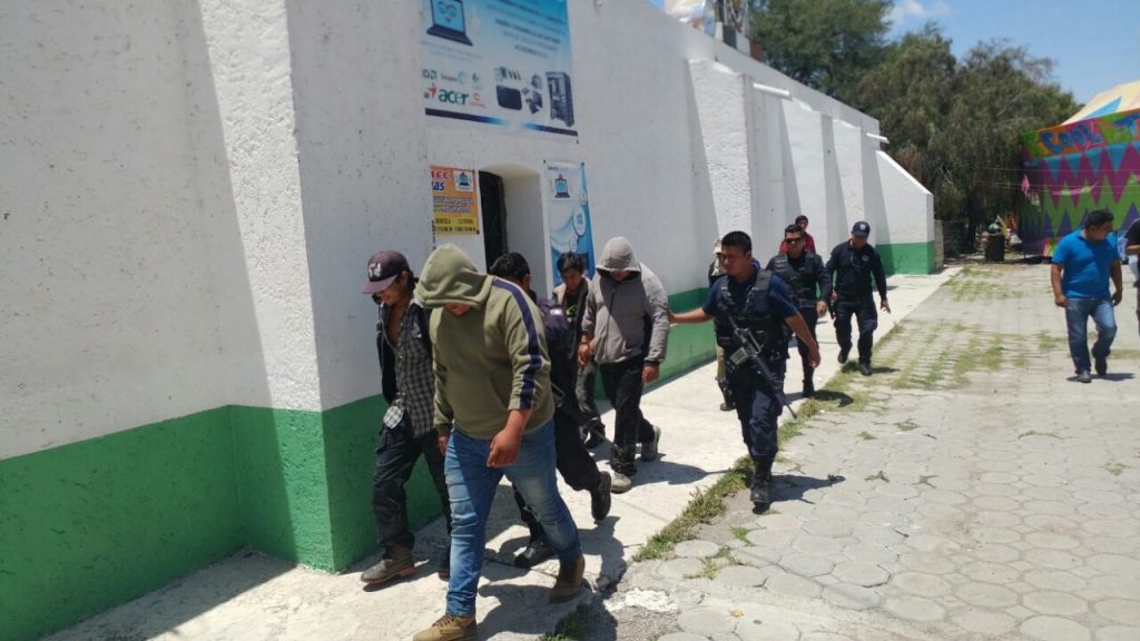 Los encontraron con plantas endémicas, pero los dejaron libres