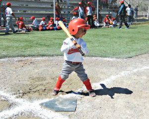 Escuela Diablitos de Acultzingo de Béisbol Infantil