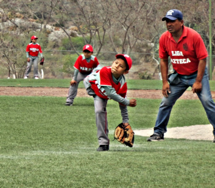 Club Pandas Tehuacán de Béisbol Infantil