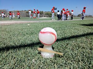 Béisbol Infantil enTehuacán