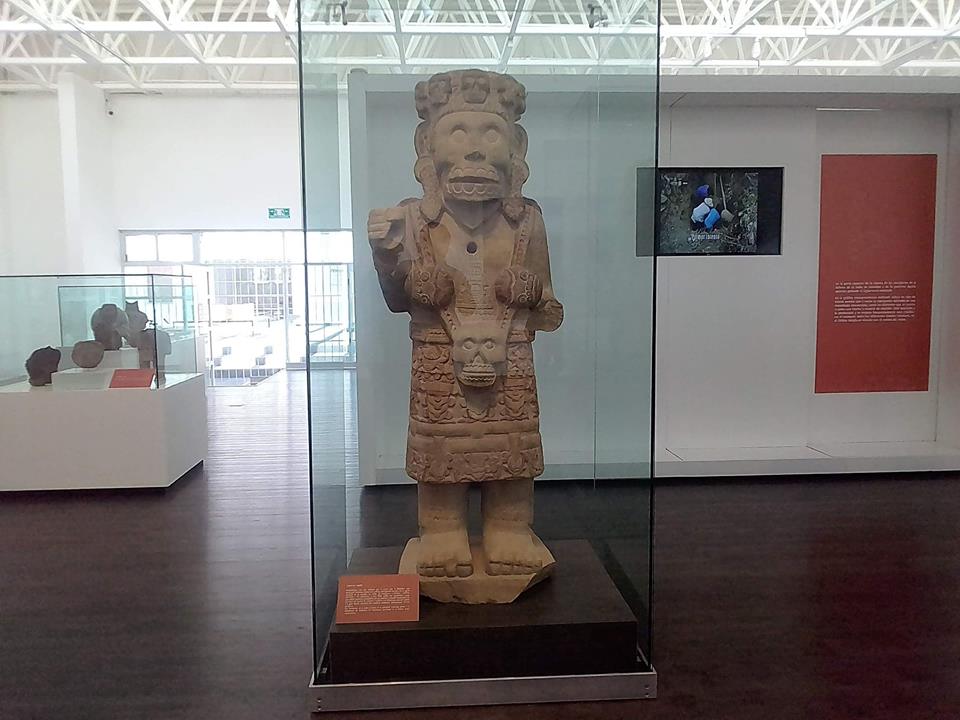 Sala de exhibición de la zona arqueológica de Tehuacán