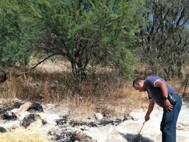 Autoridades municipales inspeccionan y toman acciones en predio afectado por tiradero clandestino.