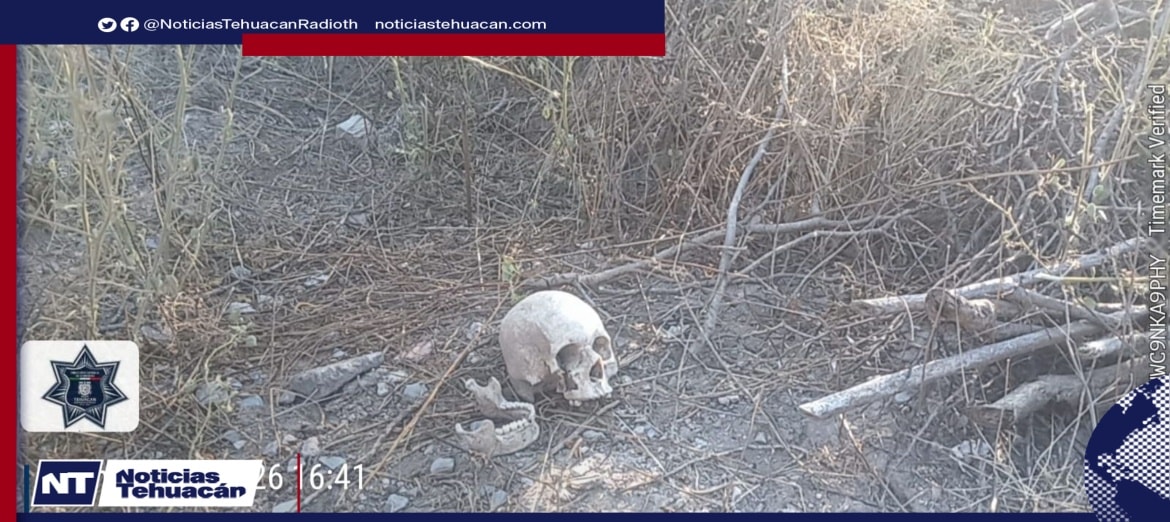 Autoridades investigan el hallazgo de restos humanos en Rincón de las Doncellas, Tehuacán.
