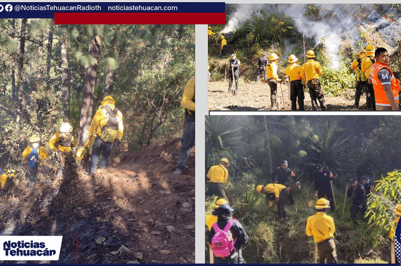 Brigadistas de Protección Civil y CONAFOR durante las labores para sofocar el incendio forestal en el Barranco de La Cruz, en el municipio de Chilchotla.