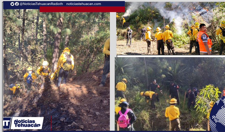 Brigadistas de Protección Civil y CONAFOR durante las labores para sofocar el incendio forestal en el Barranco de La Cruz, en el municipio de Chilchotla.